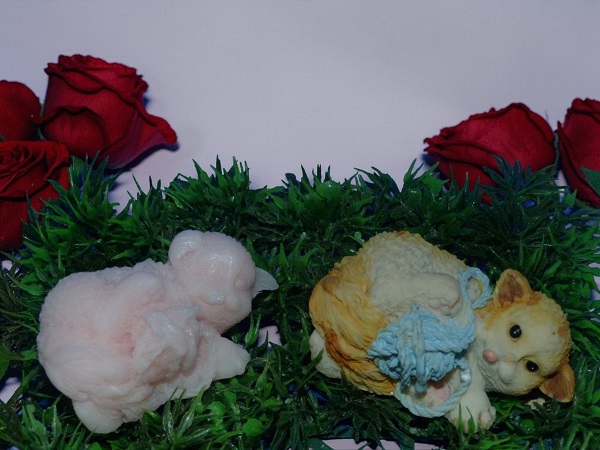 (image for) poesje met een bol wol (eigen creatie )